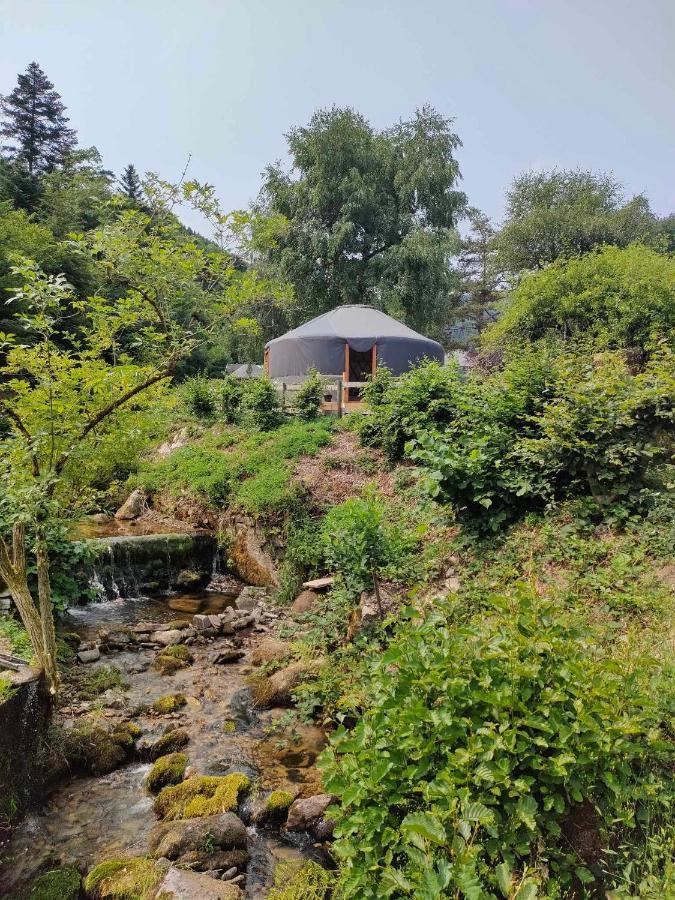 La Yourte Des Bibis Freland Exterior photo